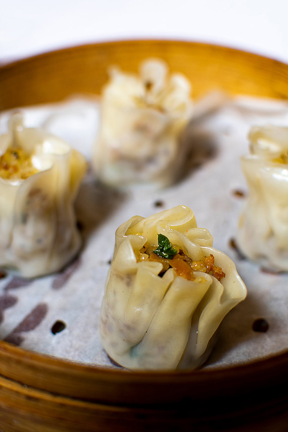 food photographer dumplings